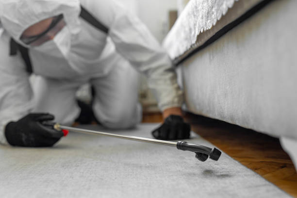 Professional Pest Control technician working in Willimantic, CT